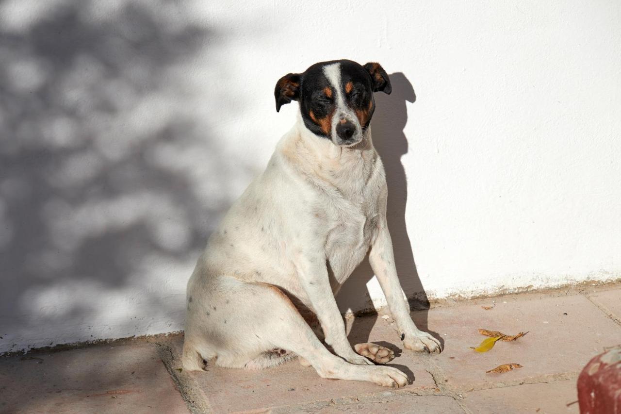 El Molino Estepona Luaran gambar