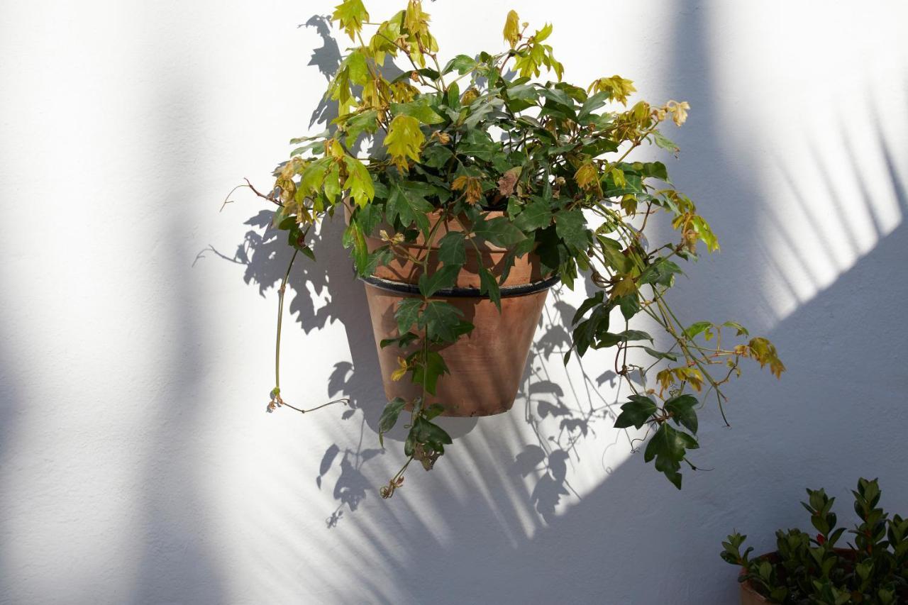 El Molino Estepona Luaran gambar