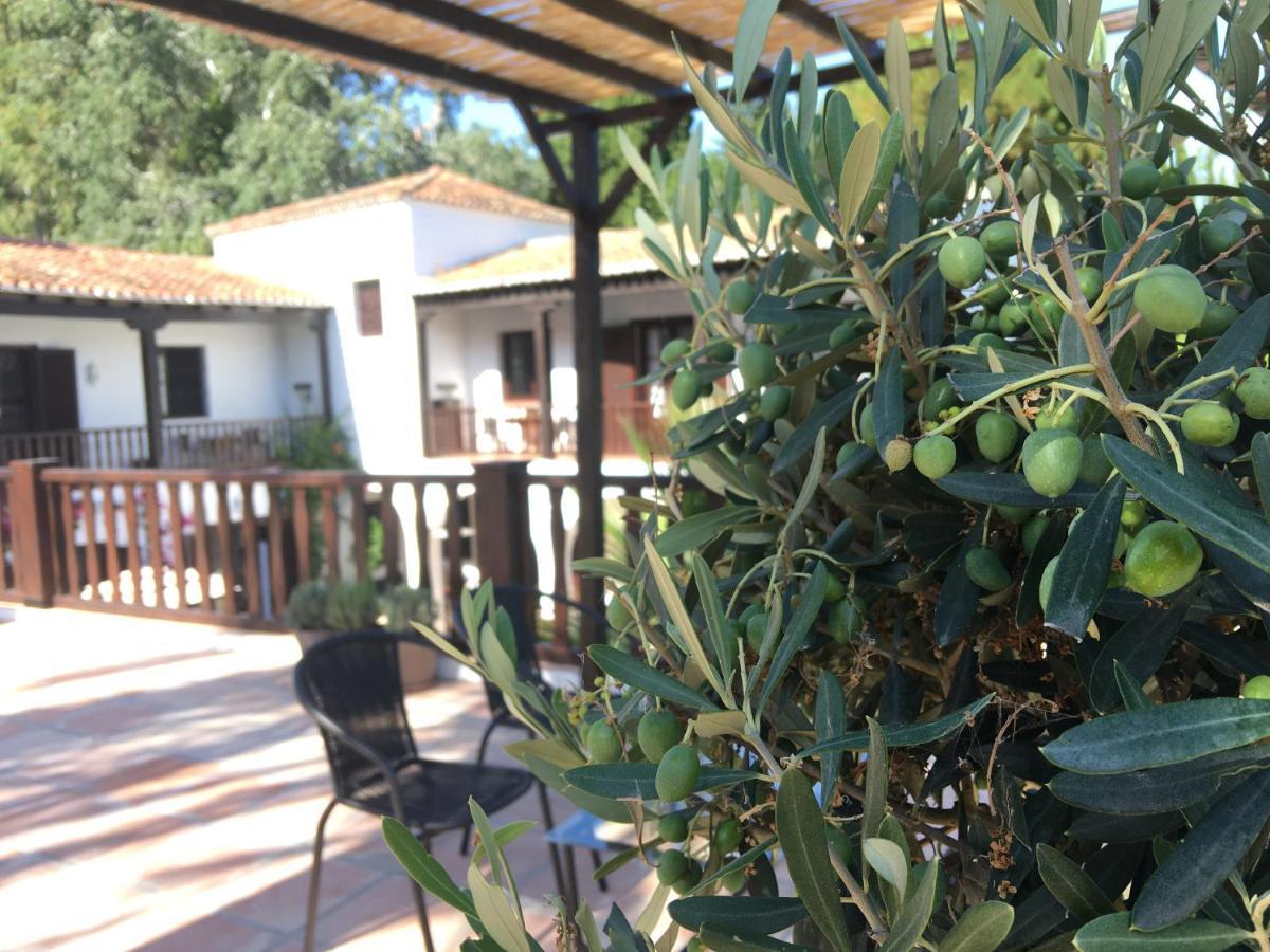 El Molino Estepona Luaran gambar