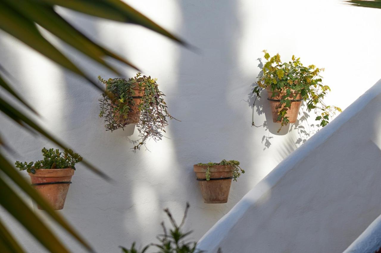 El Molino Estepona Luaran gambar